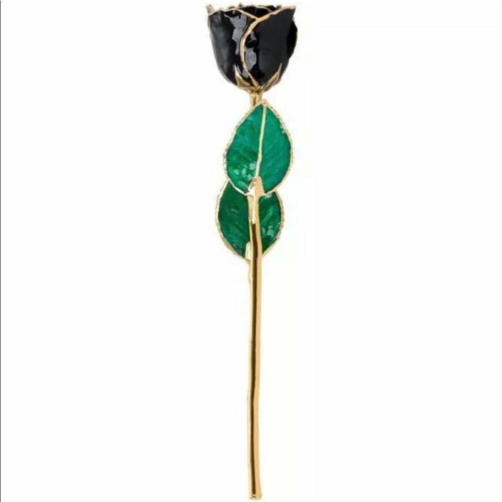Black Gold Trimmed REAL Lacquered Rose - Picture 2 of 4
